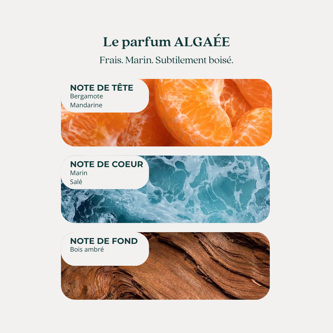 Notes du parfum ALGAÉE : bergamote, mandarine, accord marin salé et bois ambré.
