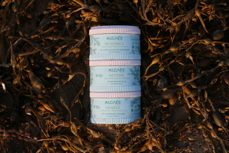 Pot et capot biosourcé à base d'algue brune bretonne. Algaée utilise cette matière naturel pour ses packagings cosmétiques