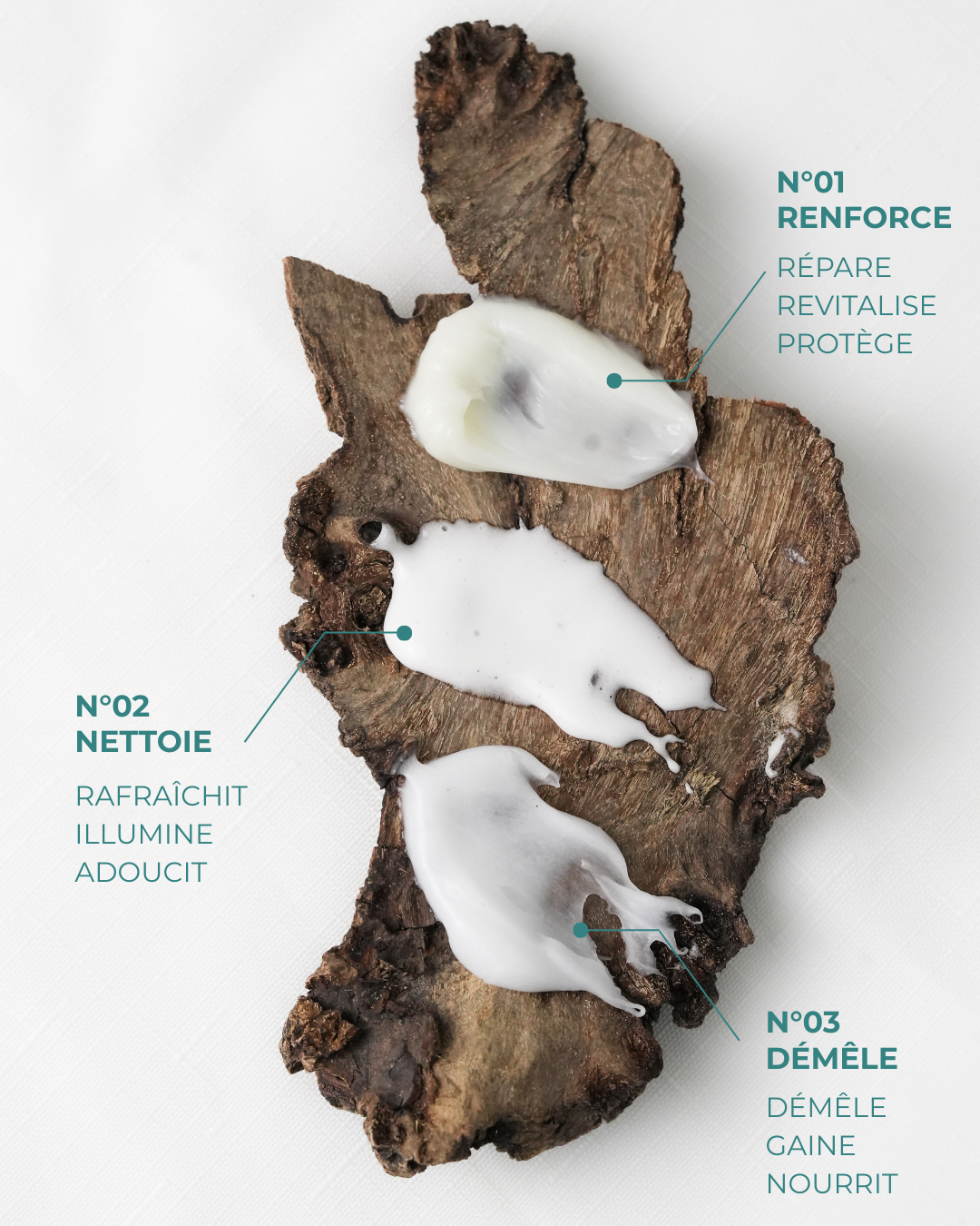 texture shampooing aux algues ALGAÉE mousse fine et sensorielle, baume fondant et crémeux. Formule concentrée. Une (1) noisette suffit.